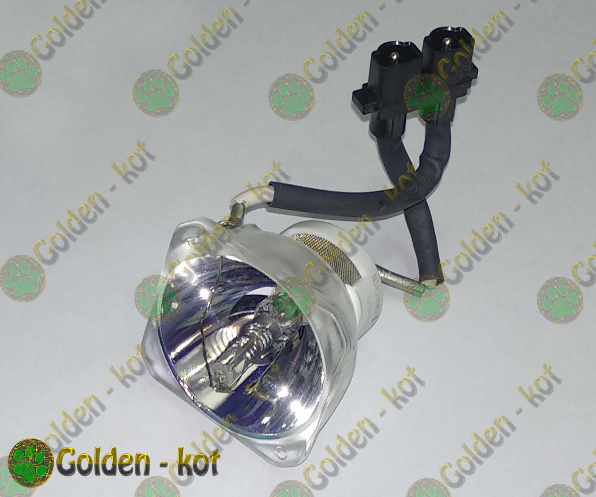 gk1611_1.jpg