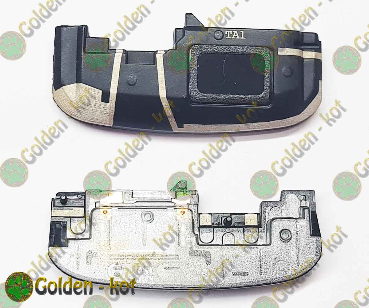 gk4359_1.jpg