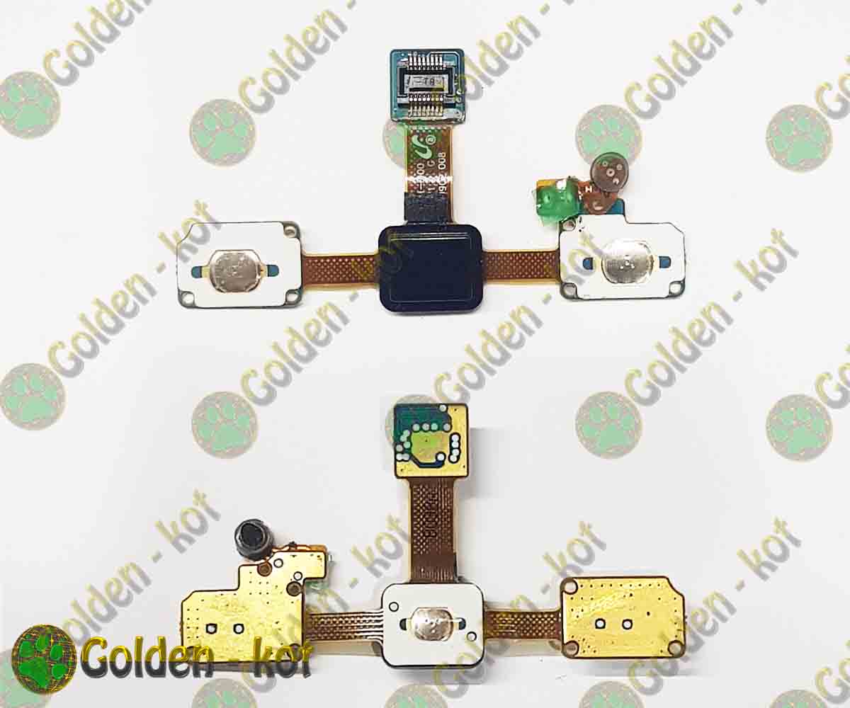 gk4946_1.jpg