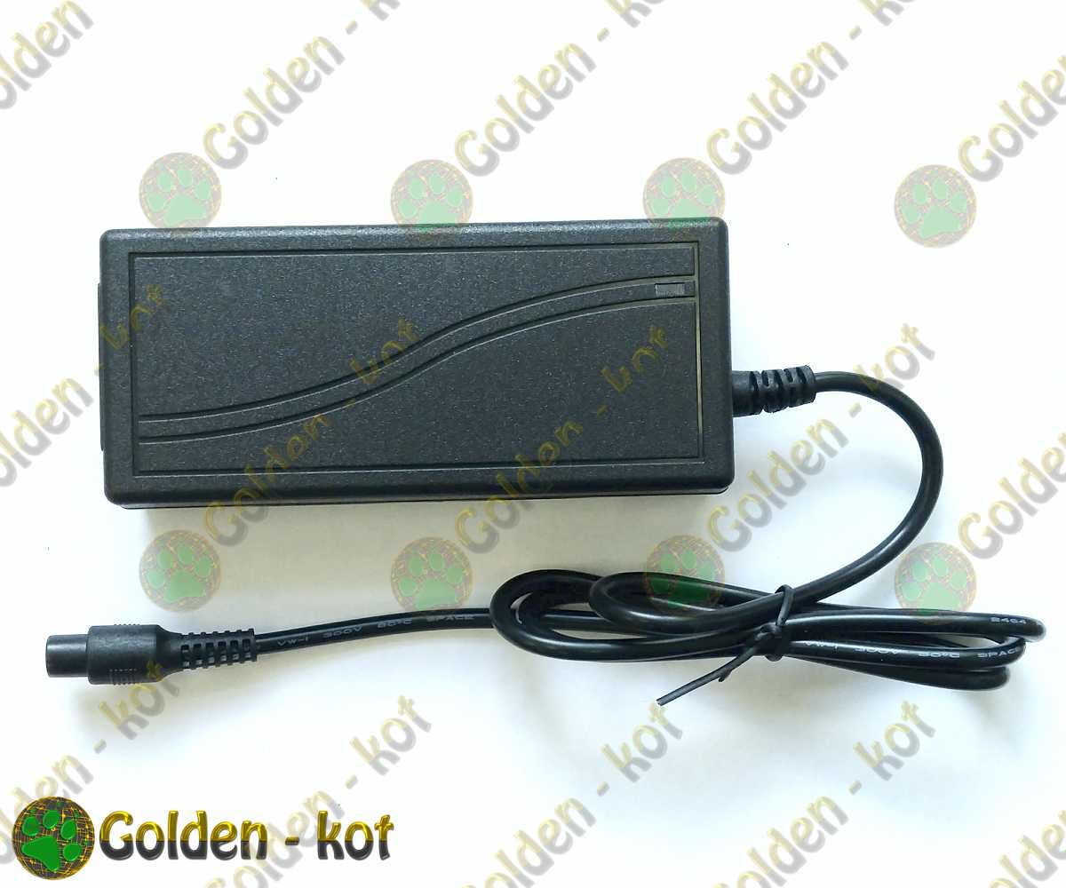 LivePower_lp222_1.jpg