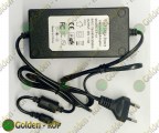 LivePower_36_4.jpg